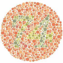 Ako vidia farboslepí?