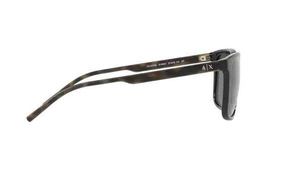 AX 4070S 815881 57